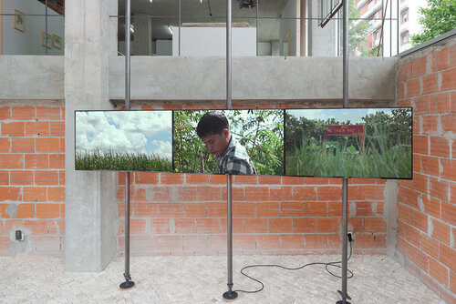 Tiffany Chung, LANDSCAPES AND TRACES OF A PEOPLE YET TO COME