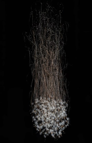Suspended, archival inkjet print, 40 x 26 in, JR032