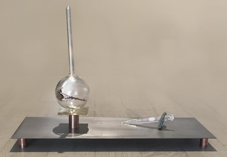 DNA EXTRACTION PROCESS - state II-