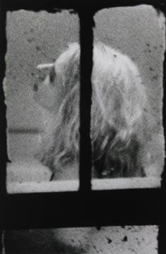 From the Window Series