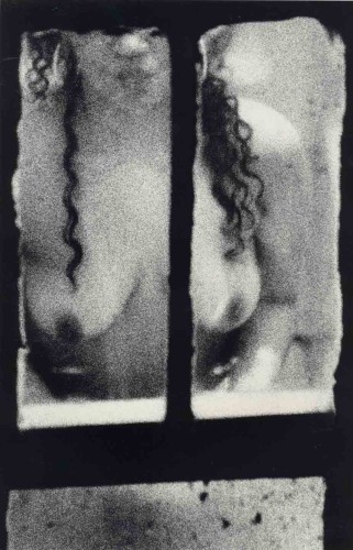 From the Window Series