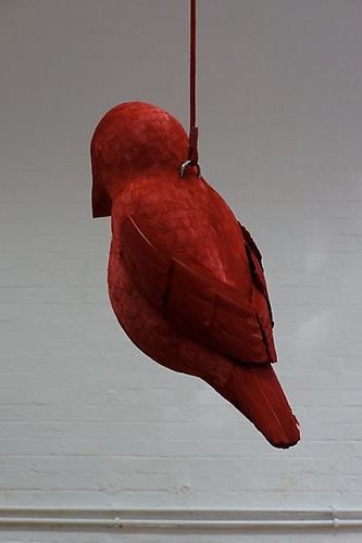 RED BIRD