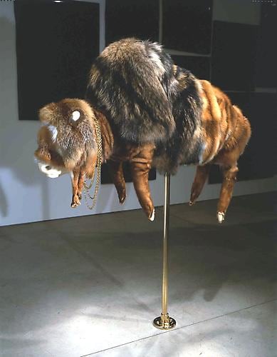 ANIMAL