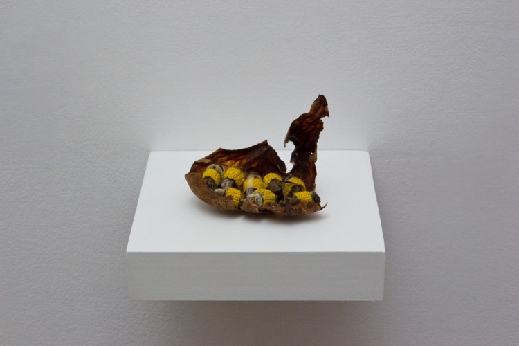 Esther Traugot, My Drones