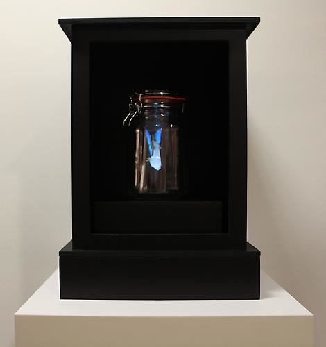 Davy &amp;amp; Kristin McGuire, Blue Fairy