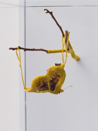 Esther Traugot, Butterfly and Twig