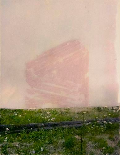 Naught Mixed media on mylar