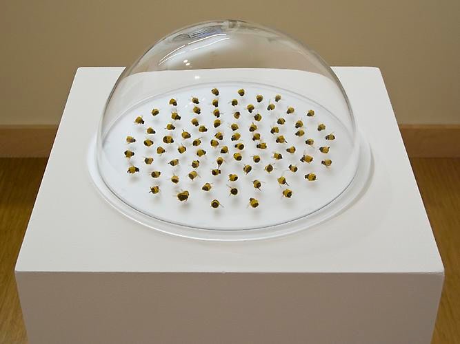 Esther Traugot Huddle