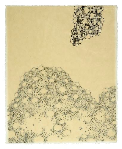 Littoral Drift (series)