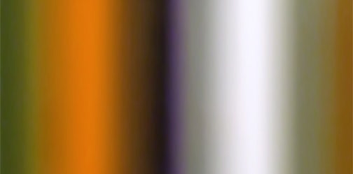 patrick Dintino, Decomposion