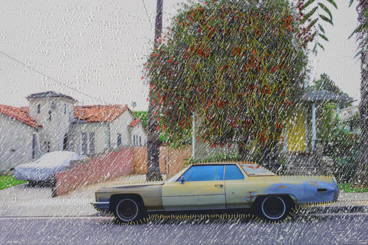 Melissa Zexter, Red Flowering Gum tree