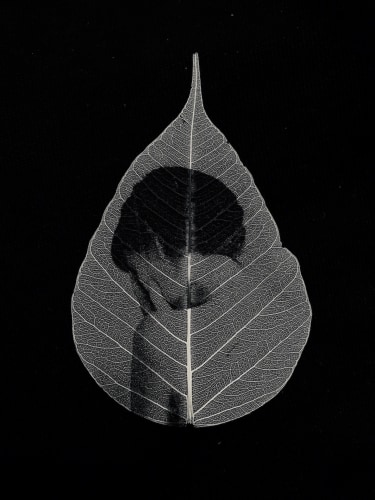 Samantha Bias, Alone