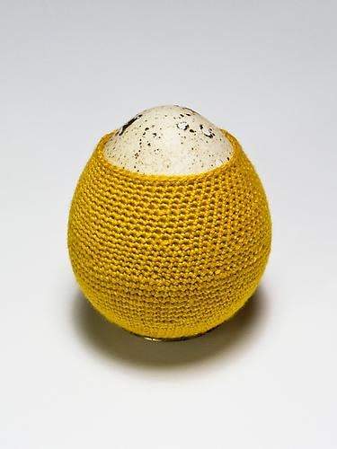 Esther Traugot 5 Quail Eggs