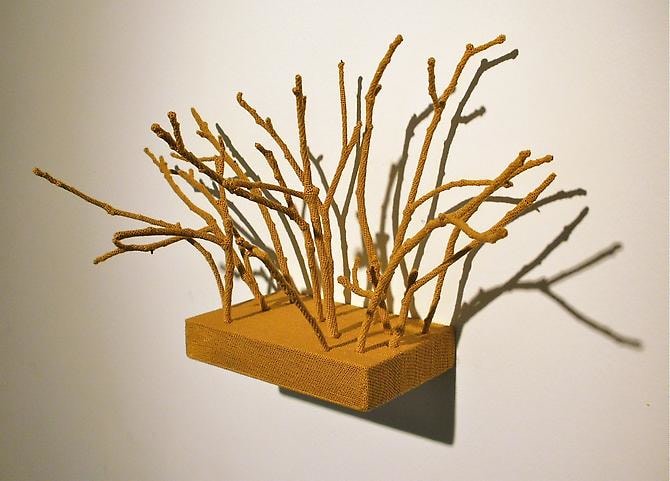 Esther Traugot, Backyard