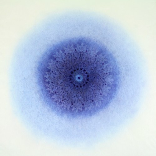 Amy Sands, &quot;Revolution XXII&quot;