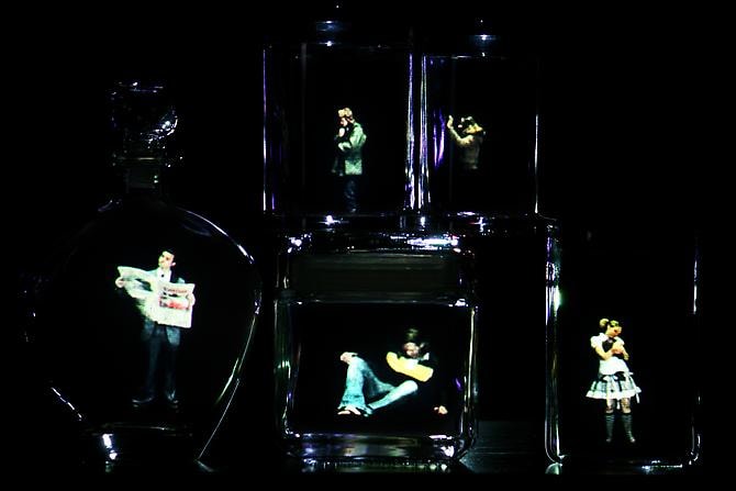 Animalia Chordata mixed media video sculpture