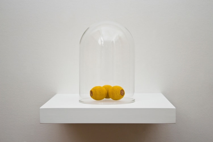 Esther Traugot, Seed Dome (CA Bay Laurel)