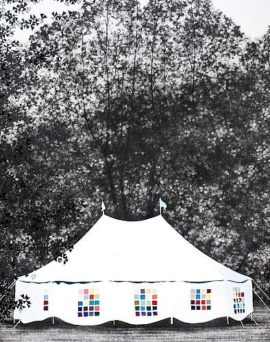 Sara Frantz Great White Buffalo