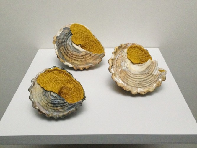 Esther Traugot, Home Again