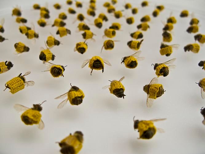 Esther Traugot, Huddle (Detail)