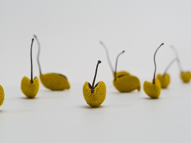 Esther Traugot Fleet