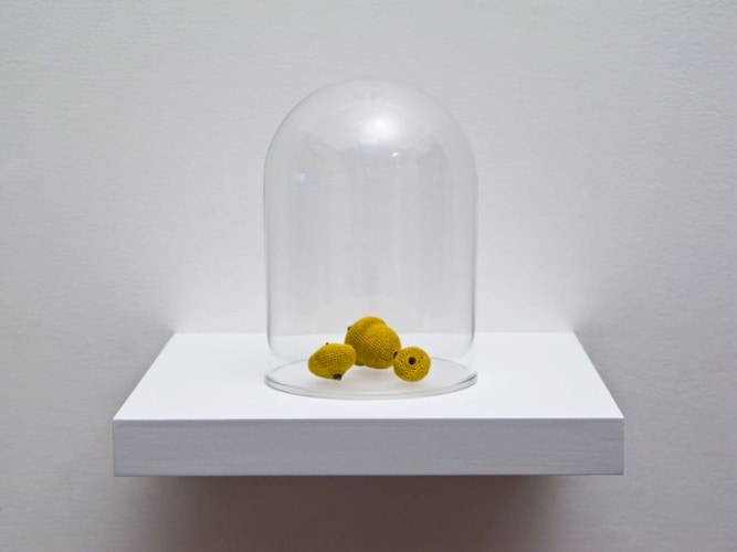 Esther Traugot, Seed Dome (Pink Oak Acorn)