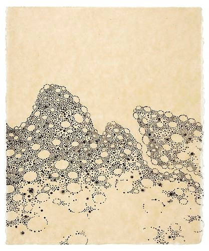 Littoral Drift (series)