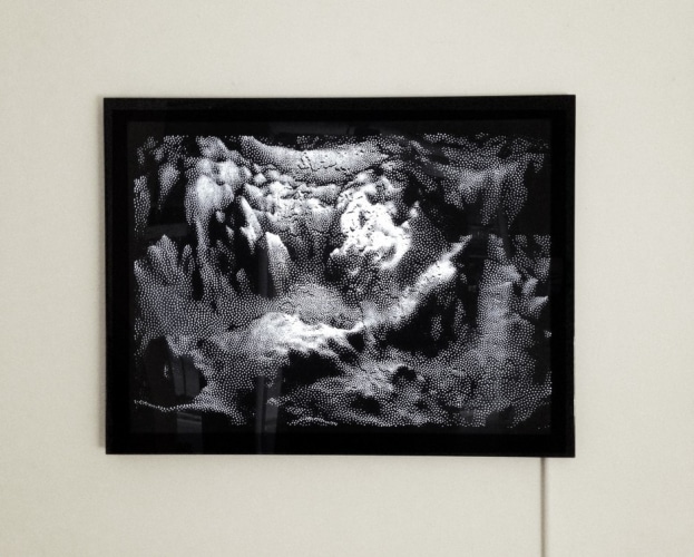 Joanie Lemercier, Black Landform