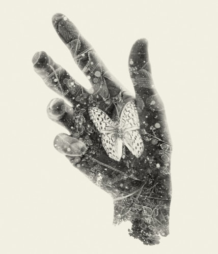 Christoffer Relander, Resting Butterfly