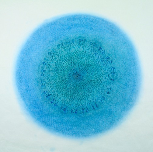 Amy Sands, &quot;Revolution XXXIII&quot;