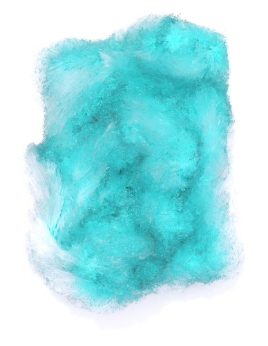 Erin Vincent, &ldquo;Ice Bristles&rdquo;