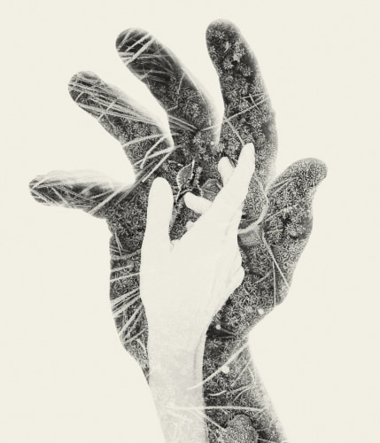 Christoffer Relander, First Frost