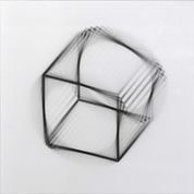 François Wunschel, Rotation X