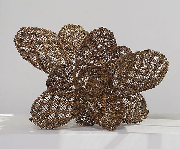 Tamiko Kawata, Twelve Arms