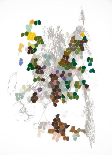 Leigh Anne Lester, Elastic Clarity