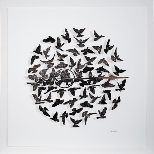 Chris Maynard, City Bird Scene
