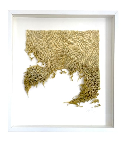 Mylinh Nguyen, Green Roses