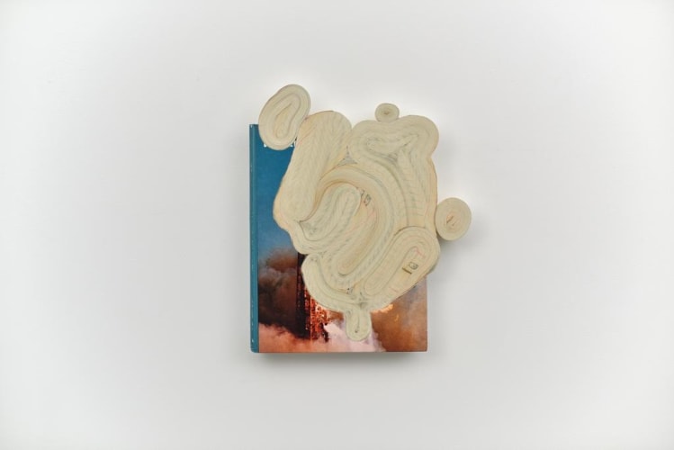 Jonathan Callan, Cash in Man and Space, 2015