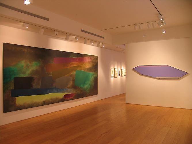 Installation view, New Arrivals, 2010