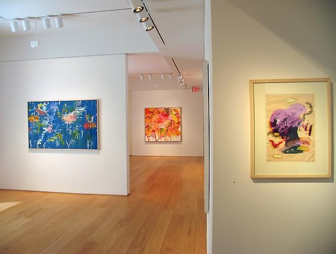 Installation view, Kikuo Saito: Paintings, 2009