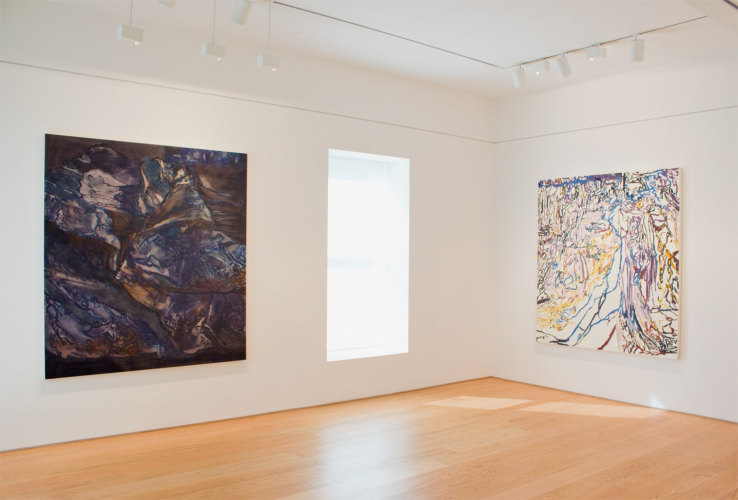 Liliane Tomasko Into the Darkness installation view