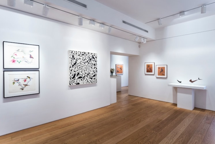 James Prosek Walk in the Woods installation view