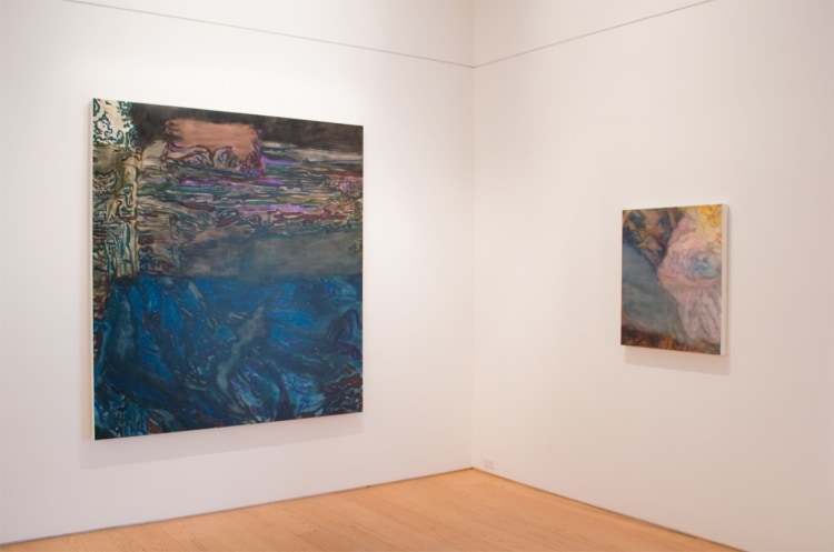 Liliane Tomasko Into the Darkness installation view