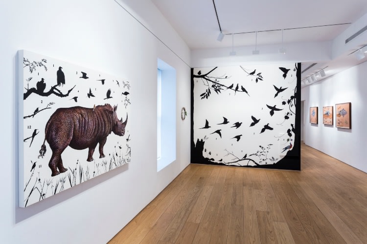 James Prosek Walk in the Woods installation view 
