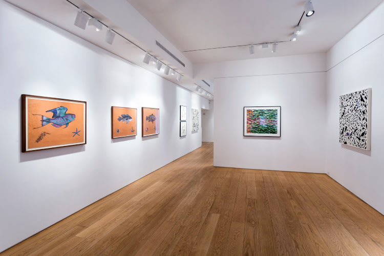 James Prosek Walk in the Woods installation view 