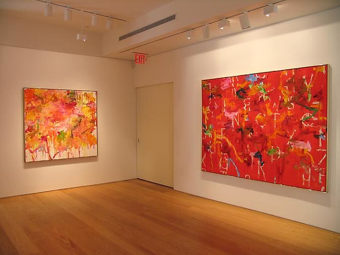 Installation view, Kikuo Saito: Paintings, 2009