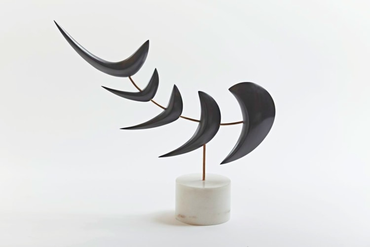 Abstract Fish III, 2013, Gaboon ebony on marble base, 15 x 16 x 4 inches