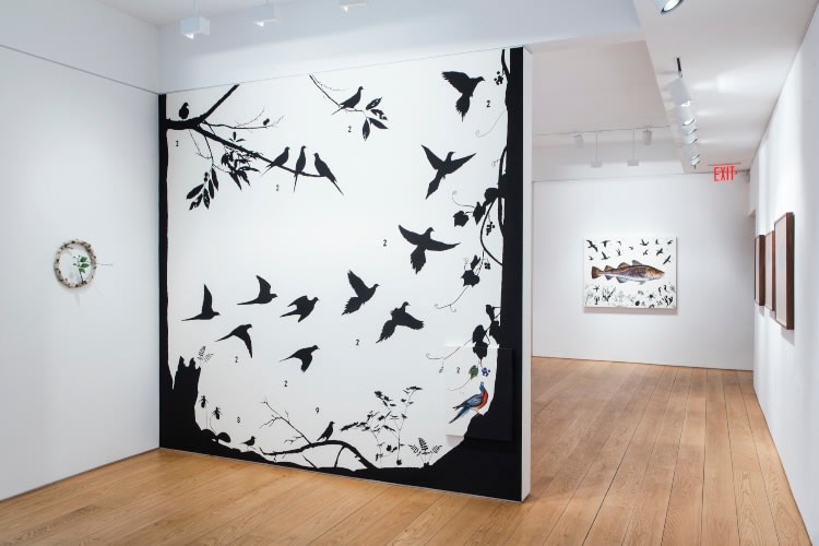 James Prosek Walk in the Woods installation view