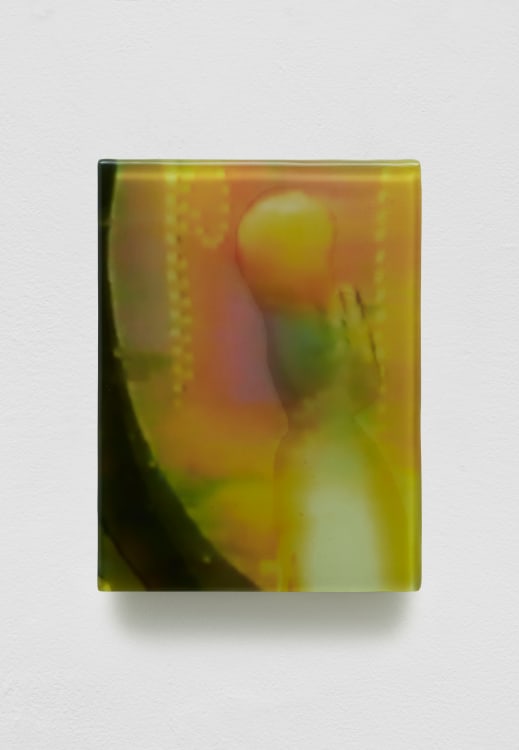 SADIE BENNING,&nbsp;Pain Thing 2,&nbsp;&nbsp;Detail, Sequence 11, Panel 39 (Dolly), 2019, wood, photographic transparencies, aqua resin and resin, 53 panels/16 sequences, each: 9 3&frasl;4 by 7 1&frasl;4 in. 24.8 by 18.4 cm.