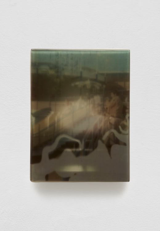 SADIE BENNING,&nbsp;Pain Thing 2,&nbsp;&nbsp;Detail, Sequence 11, Panel 40 (Dolly), 2019, wood, photographic transparencies, aqua resin and resin, 53 panels/16 sequences, each: 9 3&frasl;4 by 7 1&frasl;4 in. 24.8 by 18.4 cm.
